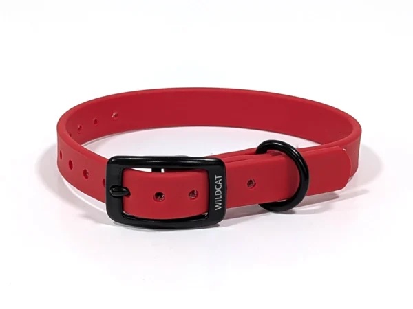 Super Heavy Beta with D-Ring