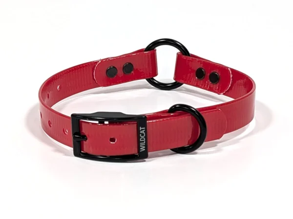 DayGlow with D-Ring and O-Ring