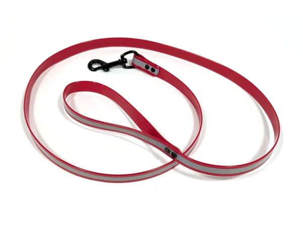 DayGlow Reflective Lead with Snap