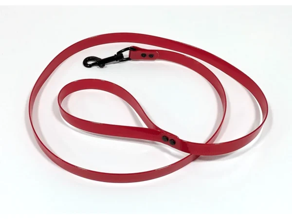 DayGlow Lead with Snap