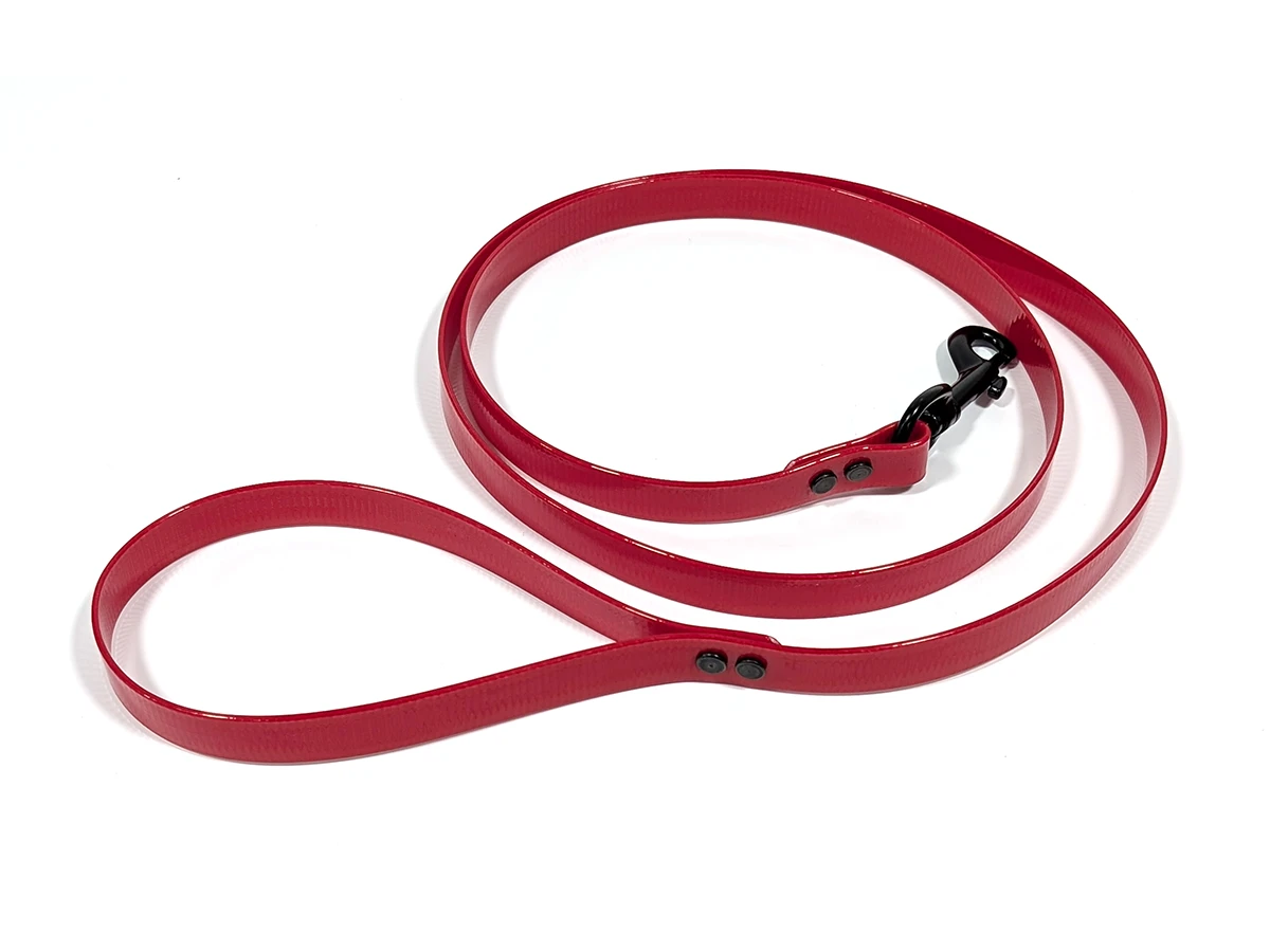 DayGlow Lead with Snap - Image 2